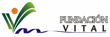Logo fundacion vital Logo fundacion vital